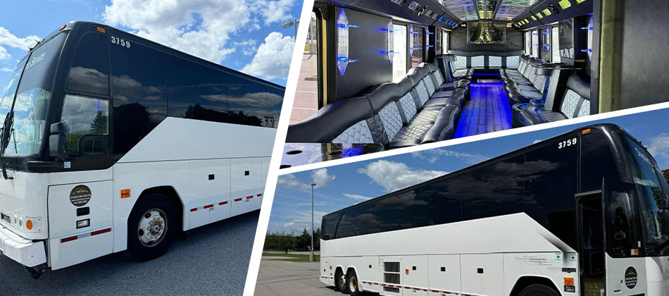 40-50 Passenger Limousine Bus